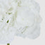 Hydrangea 50cm Snow White