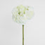 Hydrangea 50cm White