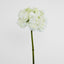 Hydrangea 50cm White