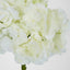 Hydrangea 50cm White