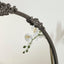 Florence 80cm Baroque Round Mirror Black