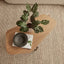 Adelaide Asymetric Coffee Table Oak