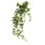 Ivy Bush Hanging Vine 85cm