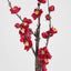 Japonica Blossom Stem 120cm Red