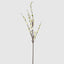 Japonica Blossom Stem 120cm White