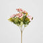 Rose Bush Assorted