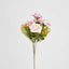 Rose Bush Assorted