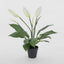 Real Touch Potted Spathiphyllum Bush 61cm (Set of 6)