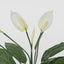 Real Touch Potted Spathiphyllum Bush 61cm (Set of 6)