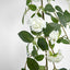 Rose Garland 170cm White