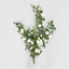 Hanging Rose Spray White