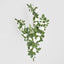 Hanging Rose Spray White