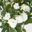 Hanging Rose Spray White