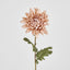 Mum Stem White Pink 69cm - Pack of 12