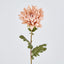 Mum Stem White Pink 69cm - Pack of 12