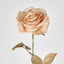 Champagne with Champagne Gold Glitter Christmas Venus Rose with 2 sets of Leaves - Pack of 12