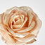 Champagne with Champagne Gold Glitter Christmas Venus Rose with 2 sets of Leaves - Pack of 12