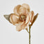 Champagne with Champagne Gold Glitter Christmas Magnolia with 3 Leaves - Pack of 12