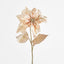 Poinsettia - Pack of 12