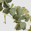 Eucalyptus Hanging Bush