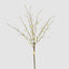 Pussy Willow Floral Stem With Leaves
