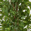 Ficus Tree 160cm