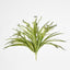 Green White Spider Plant with 79 Leaves Real Touch.