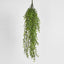 Hanging Ruscus Bush - Pack of 6