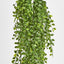 Hanging Ruscus Bush - Pack of 6