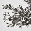 Boxwood Bush Black