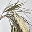 Ivory White Hanging Wheat Bush - Pack of 12