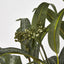 Eucalyptus Seeded Bundle 43cm - Pack of 24