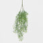 66cm Green Springeri Hanging Vine x5