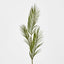 Areca Palm Leaf Spray Green