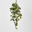 Green Ivy Spray with 140 Verigated Leaves