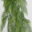 Hanging Pitch Pine Bush