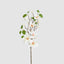 Magnolia Pearl Spray White