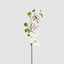 Magnolia Pearl Spray White