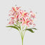 Casablanca Lily Bunch Pink