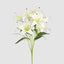 Casablanca Lily Bunch White
