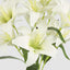 Casablanca Lily Bunch White