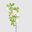 Leafy Blossom Floral Stem Pink