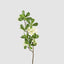 Leafy Blossom Floral Stem White