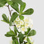 Leafy Blossom Floral Stem White