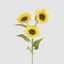 Sunflower Stem With 3 Heads
