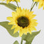 Sunflower Stem With 3 Heads