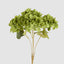 Hydrangea Bunch With 5 Heads Green