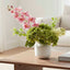 Hydrangea Bunch With 5 Heads Green