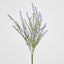 Lavender Spray Purple