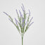 Lavender Spray Purple